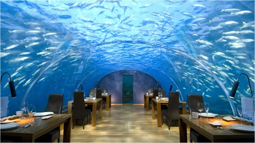The Ithaa Undersea Restaurant. It looks absolutely beautiful.
